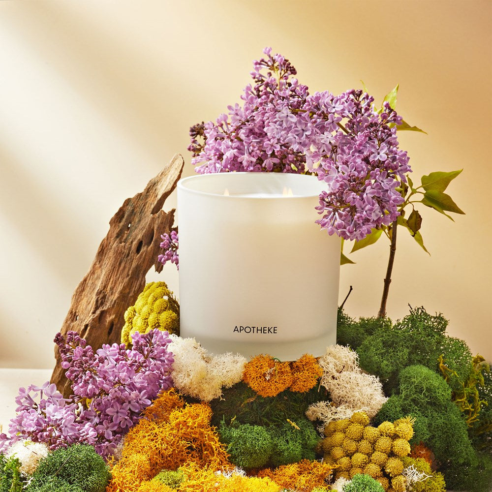 White Vetiver 3-Wick Candle - PoshaBella
