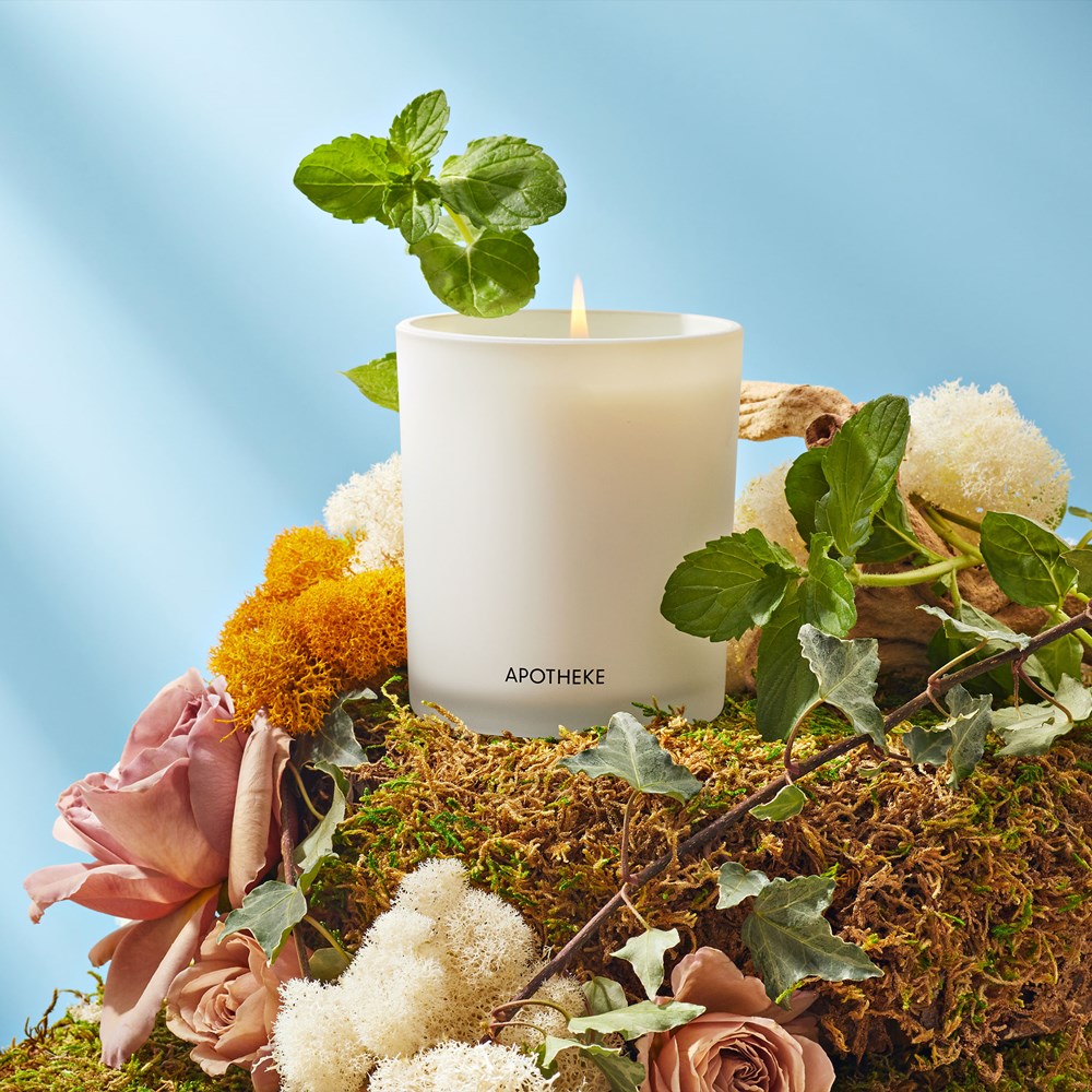 Wild Mint and Ivy Classic Candle - PoshaBella