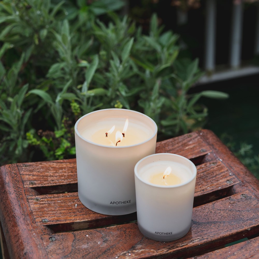 Wild Mint and Ivy Classic Candle - PoshaBella