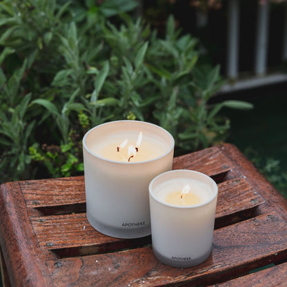 Wild Mint and Ivy Classic Candle - PoshaBella