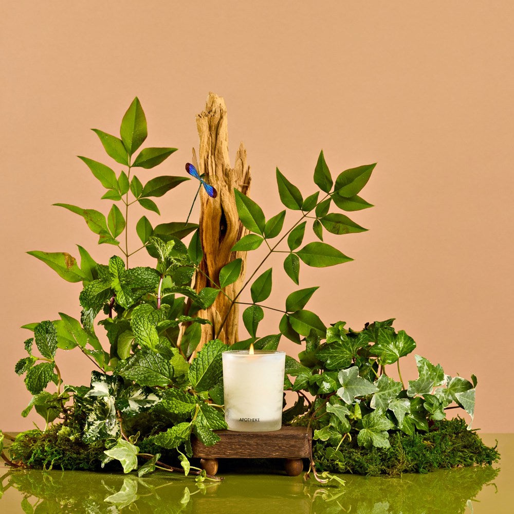 Wild Mint and Ivy Votive Candle - PoshaBella