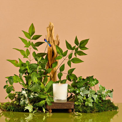Wild Mint and Ivy Votive Candle - PoshaBella