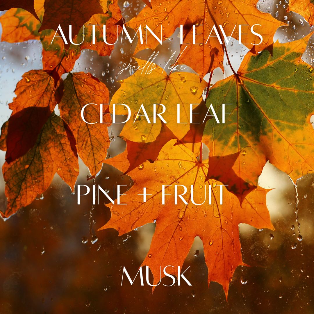 6.5 oz Mason Jar Soy Candle - Autumn Leaves - PoshaBella
