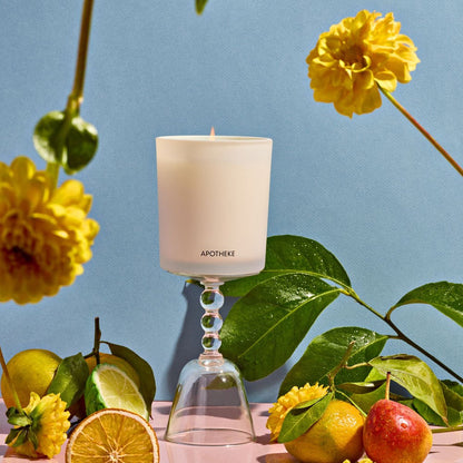 Bergamot Tangerine Classic Candle - PoshaBella