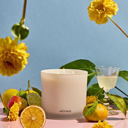 Bergamot Tangerine 3-Wick Candle - PoshaBella