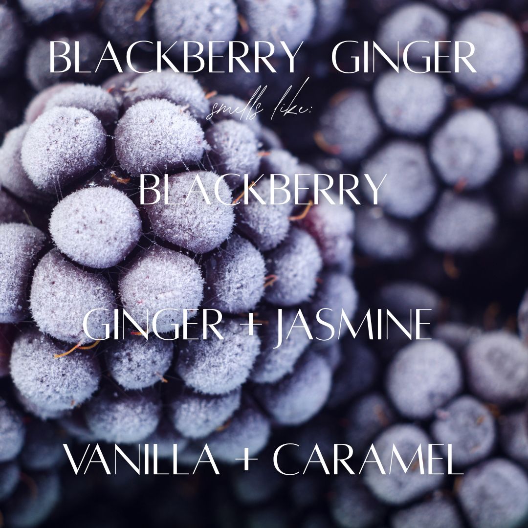Blackberry Ginger - 5.5 oz Wax Melts - PoshaBella
