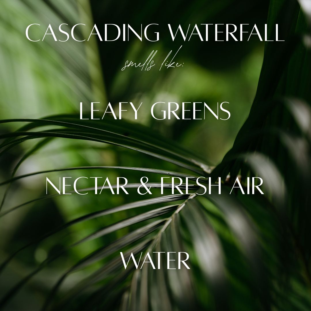 6.5 oz Mason Jar Soy Candle - Cascading Waterfall - PoshaBella