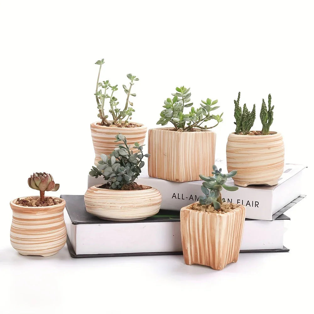 Ceramic Gift Pots for Celebrations with Unique Designs and Colors