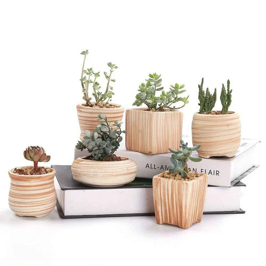 Ceramic Gift Pots for Celebrations with Unique Designs and Colors