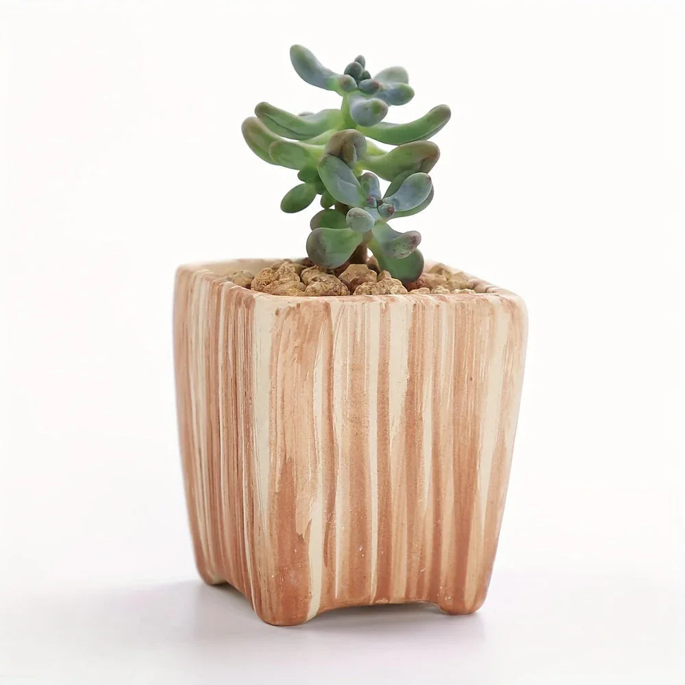 Ceramic Gift Pots for Celebrations with Unique Designs and Colors