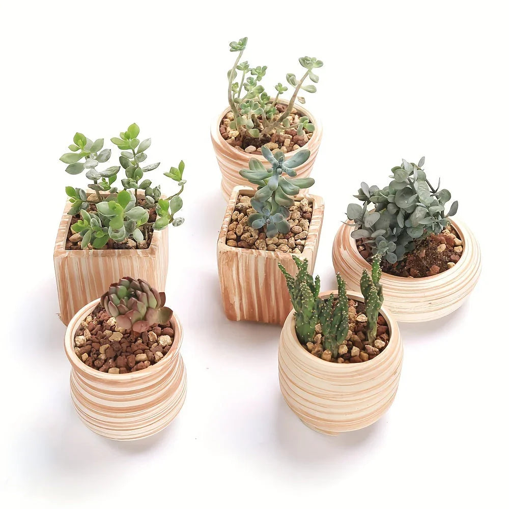 Ceramic Gift Pots for Celebrations with Unique Designs and Colors