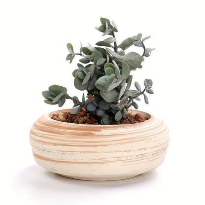 Ceramic Gift Pots for Celebrations with Unique Designs and Colors