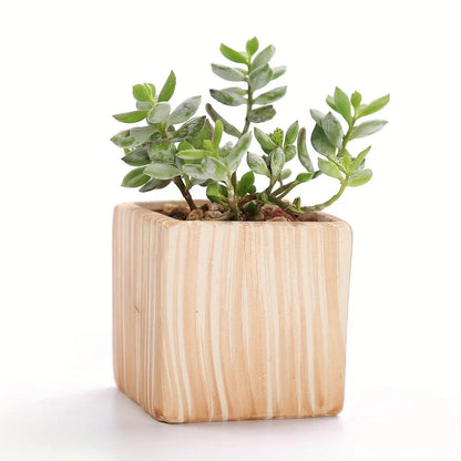 Ceramic Gift Pots for Celebrations with Unique Designs and Colors