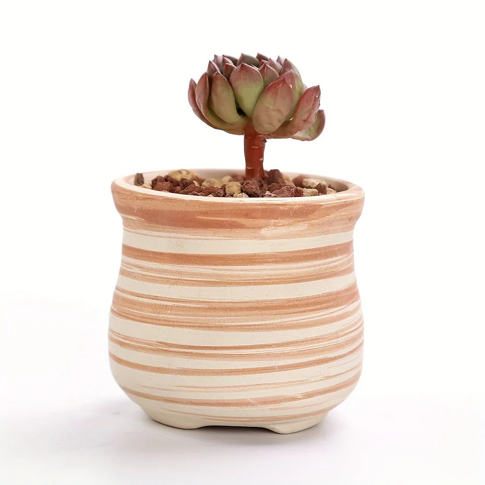 Ceramic Gift Pots for Celebrations with Unique Designs and Colors