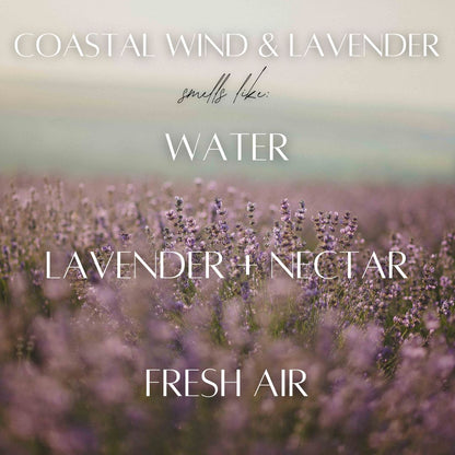 Coastal Wind & Lavender Roll-On Perfume Oil - PoshaBella