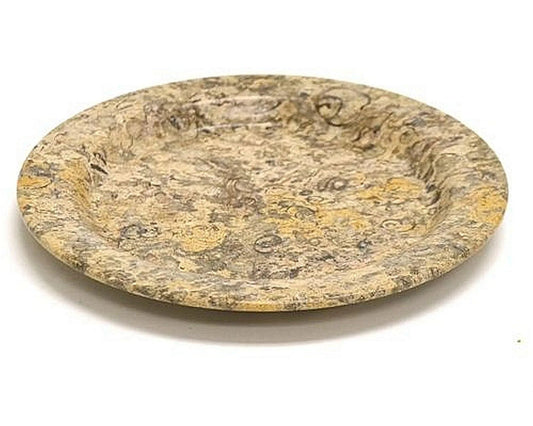 Decorative Plate of Fossil Stone | 6-inch Round - PoshaBella