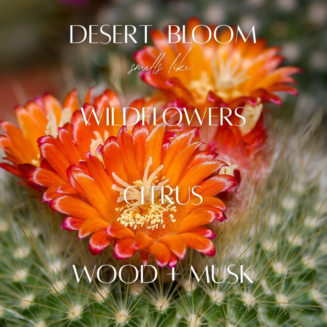 13 oz Mason Jar Soy Candle - Desert Bloom - PoshaBella