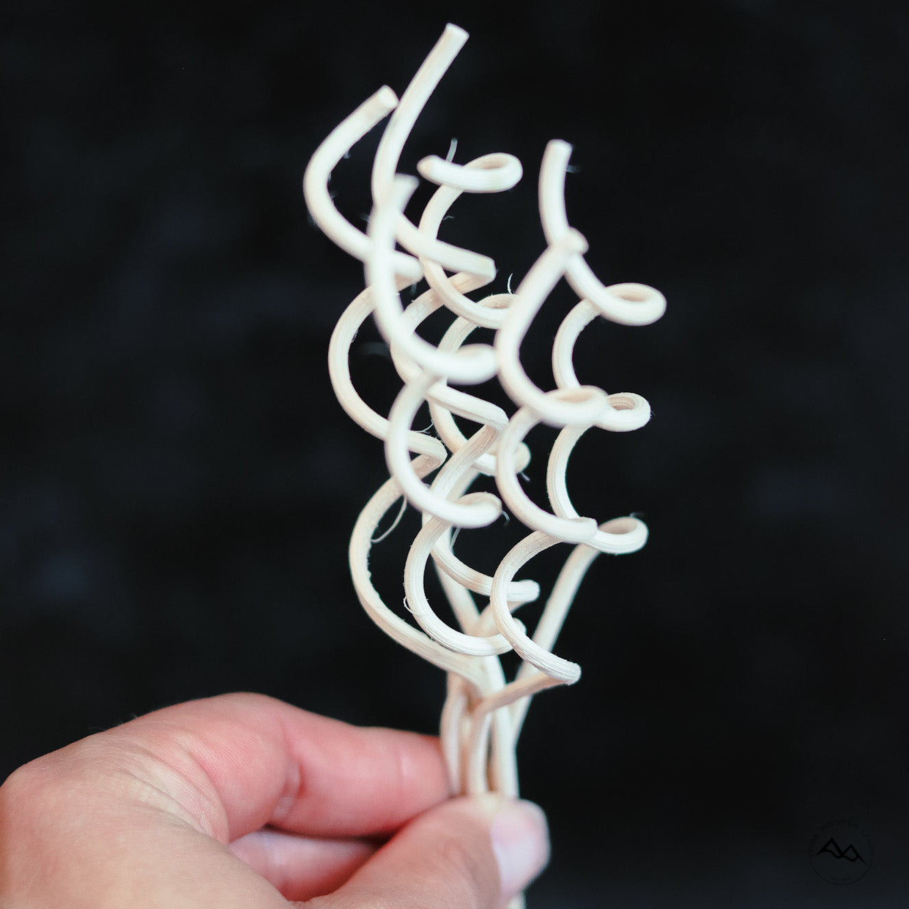 Frosted Carrot Cake Reed Diffuser