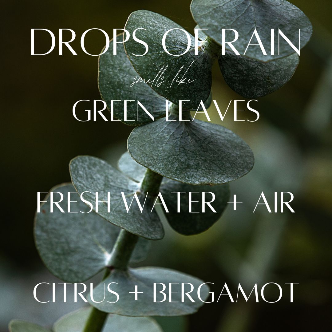 Drops of Rain Reed Diffuser