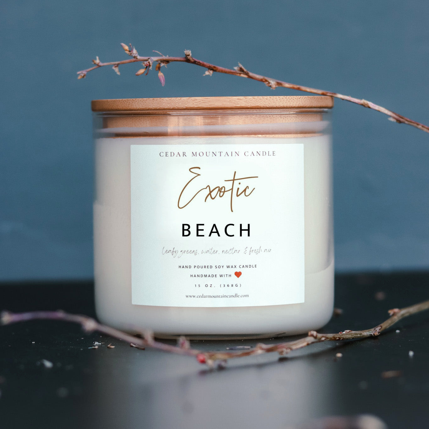 Exotic Beach - 3 Wick Jar Candle