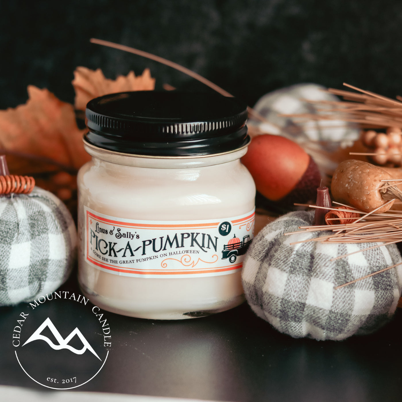Pumpkin Patch Mason Jar Candle - Fall Scents - PoshaBella