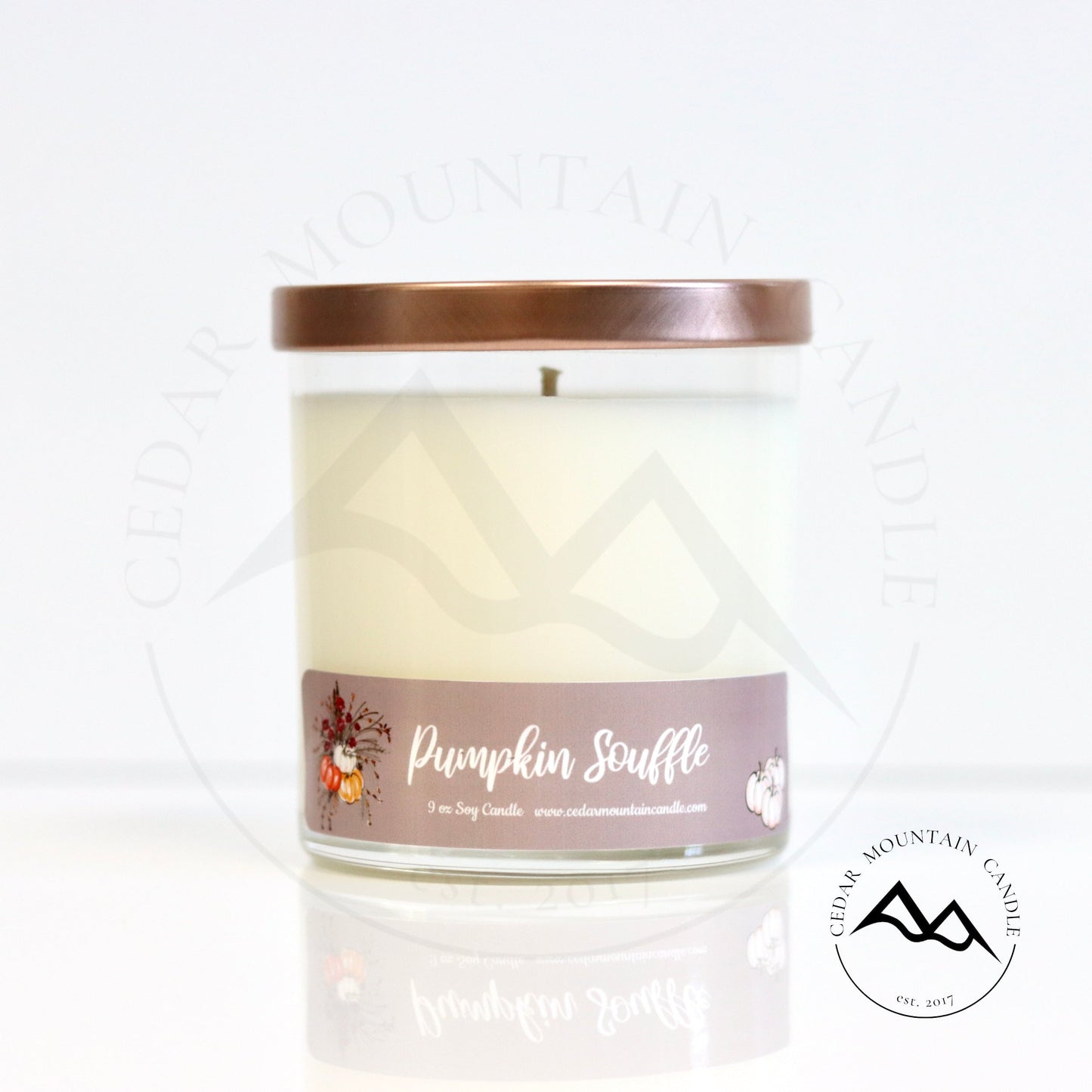 Fall Mauve Pumpkin 9 oz Jar Soy Candle - PoshaBella
