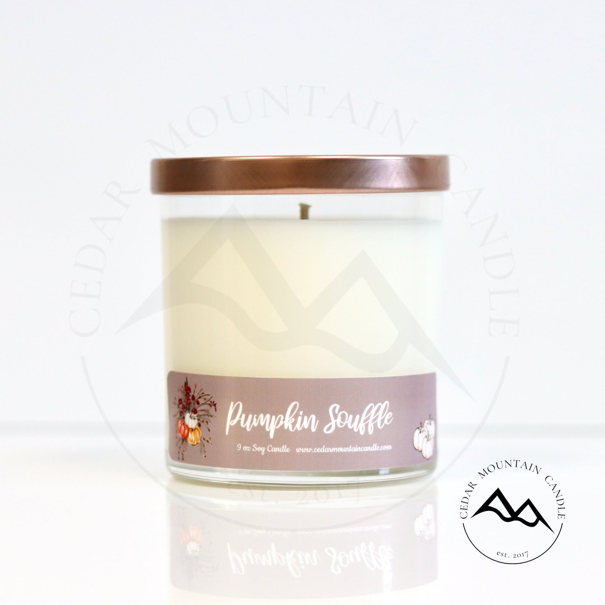 Fall Mauve Pumpkin 9 oz Jar Soy Candle - PoshaBella