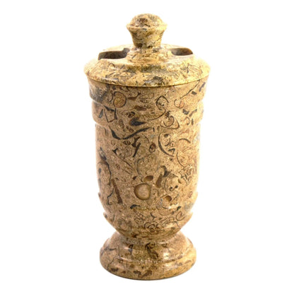 Fossil Stone Toothbrush Holder of Tasmanian Collection - PoshaBella