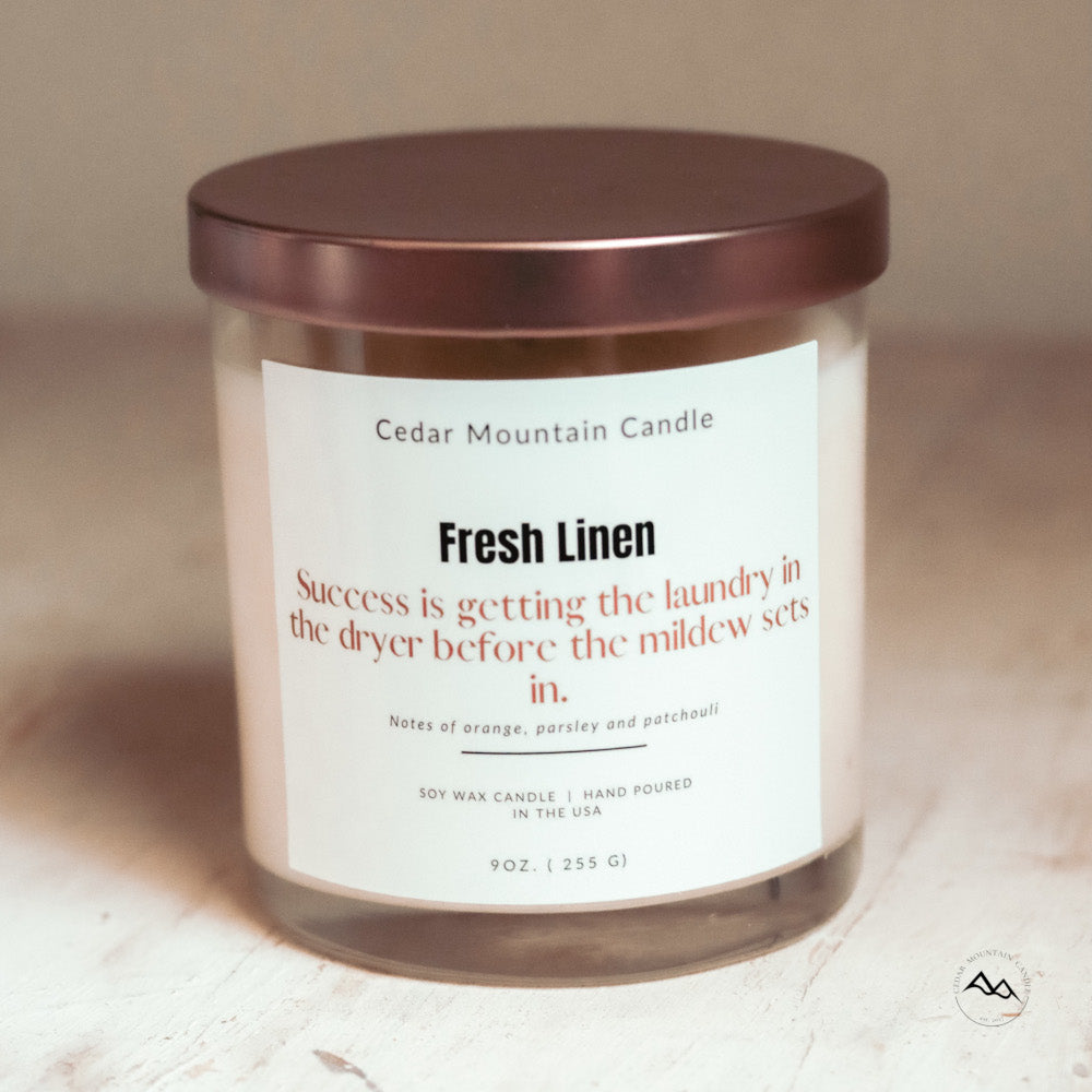 Success is Getting the Laundry in the Dryer before the Mildew Sets - 9 oz Soy Candle - PoshaBella