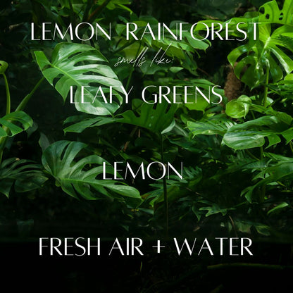 Lemon Rainforest - 3 Wick Jar Candle