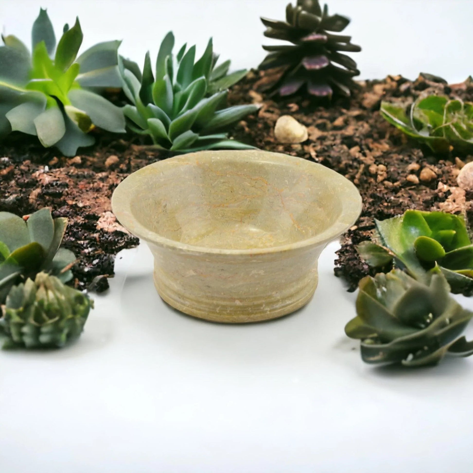 Modern Fruit Bowl - Sahara Beige Mable 8 inch Bowl - PoshaBella