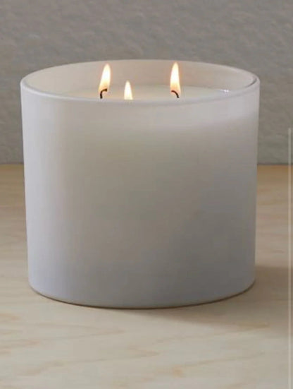 Muir Woods 3 Wick Candle - PoshaBella