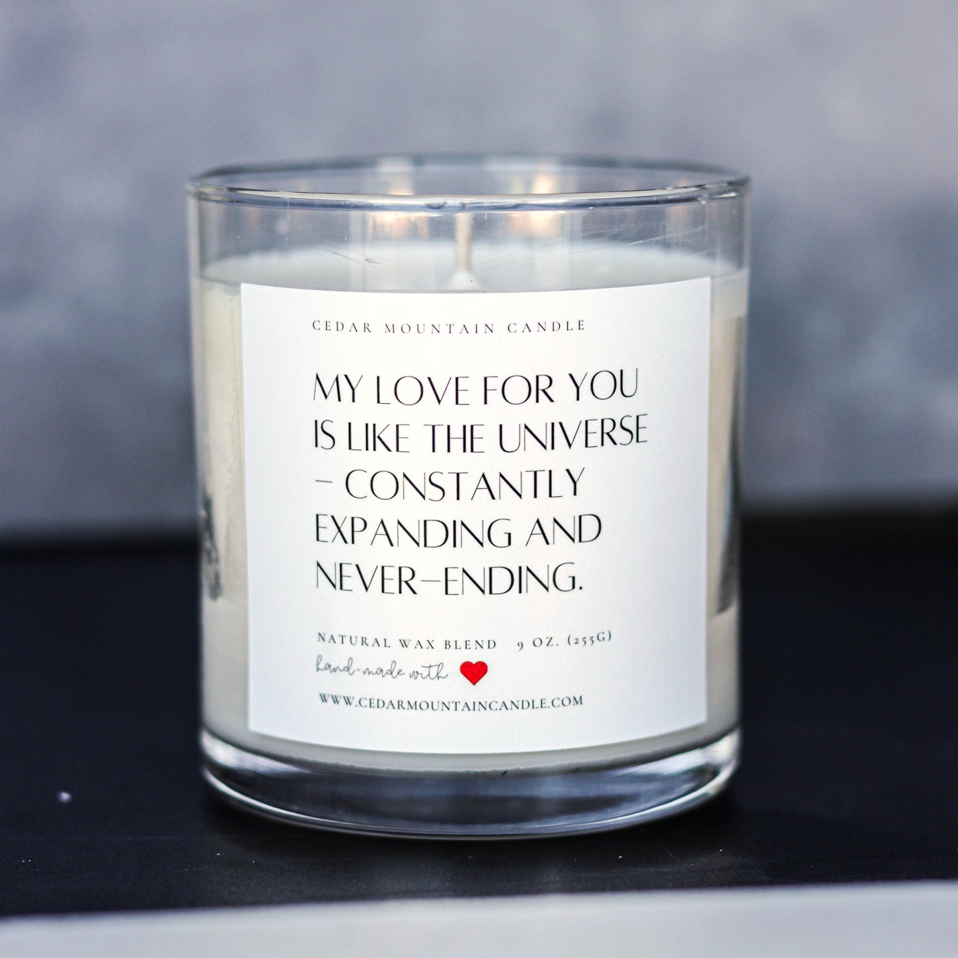 "My love for you is like..." Valentine's Day 9 oz Whiskey Glass Jar Soy Candle - Choose Your Scent - PoshaBella