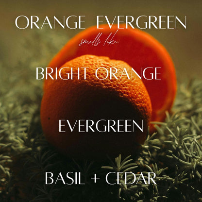 Orange Evergreen - 3 Wick Jar Candle