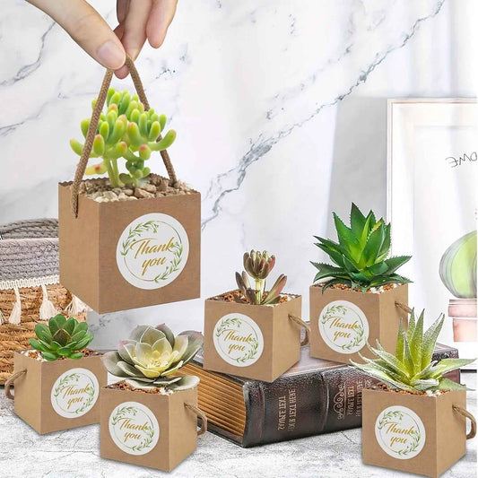 Paper Kraft Planter Bags for Plants and Gifts