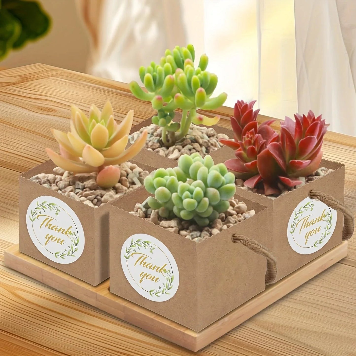 Paper Kraft Planter Bags for Plants and Gifts