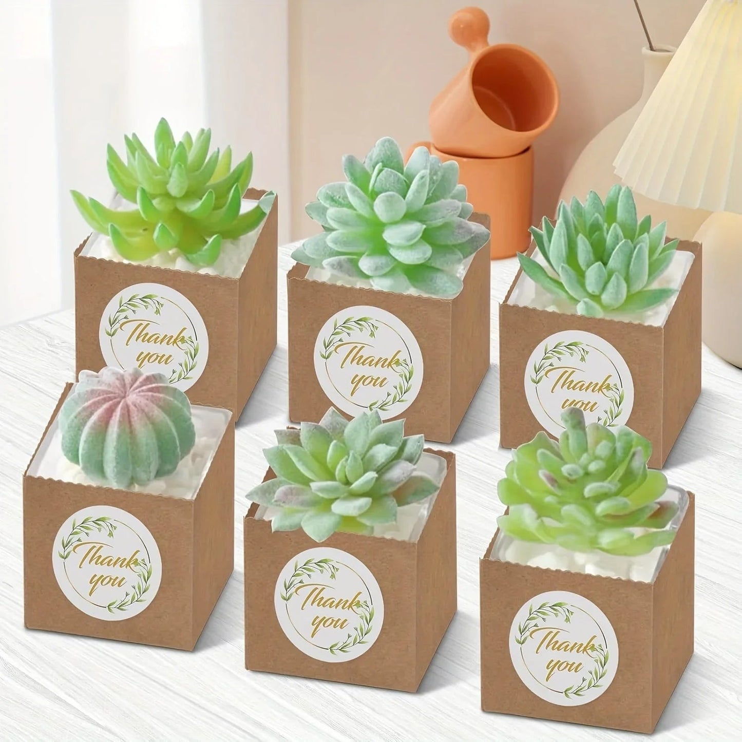 Paper Kraft Planter Bags for Plants and Gifts