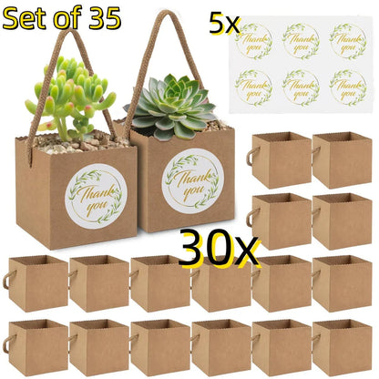 Paper Kraft Planter Bags for Plants and Gifts