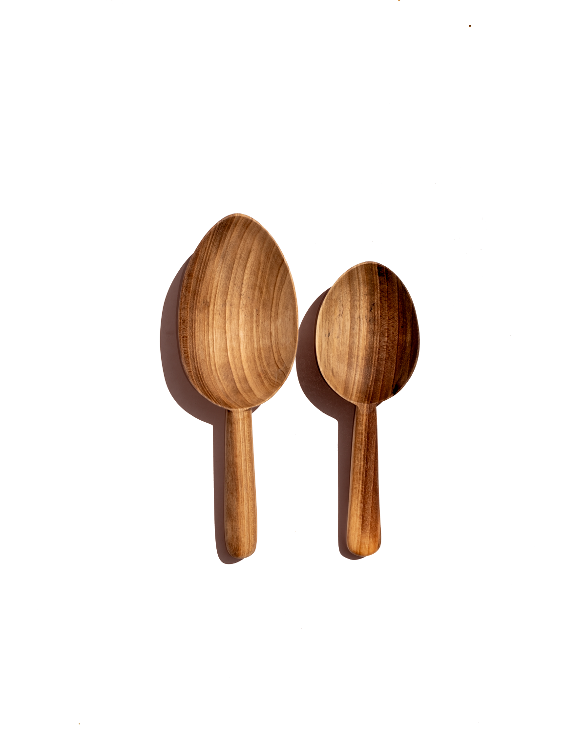 Walnut Scoop Spoon - Set of 2 - PoshaBella