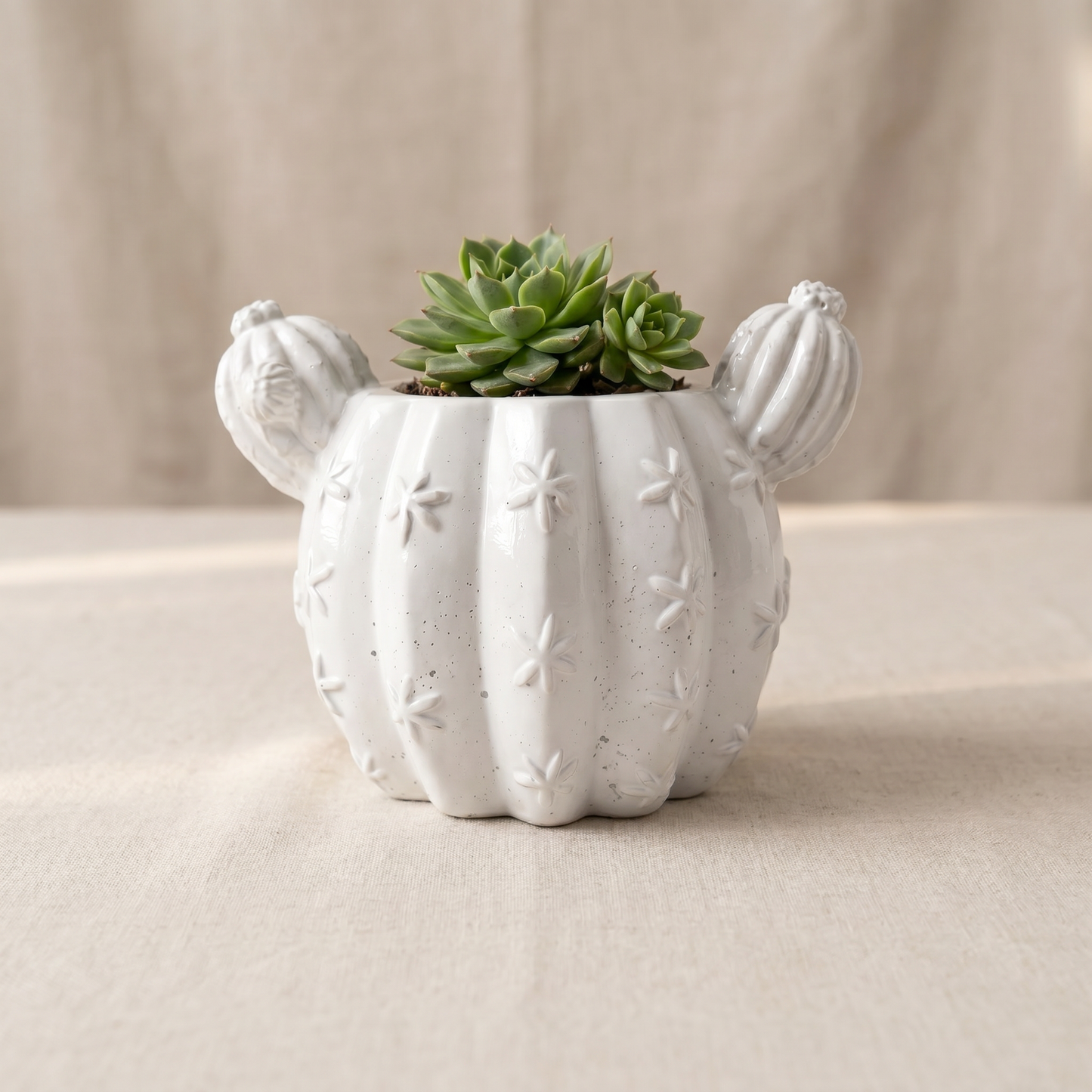 Barrel Cactus Planter, Gypsum White 3.5" Sunsum® Intentional Living