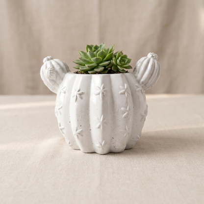 Barrel Cactus Planter, Gypsum White 3.5" Sunsum® Intentional Living
