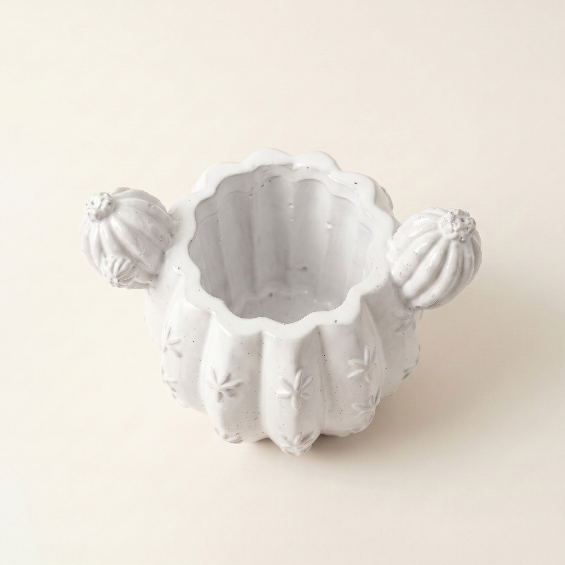 Barrel Cactus Planter, Gypsum White 3.5" Sunsum® Intentional Living