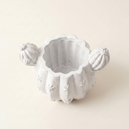 Barrel Cactus Planter, Gypsum White 3.5" Sunsum® Intentional Living