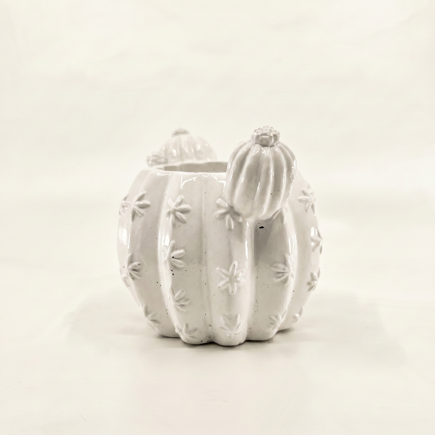 Barrel Cactus Planter, Gypsum White 3.5" Sunsum® Intentional Living