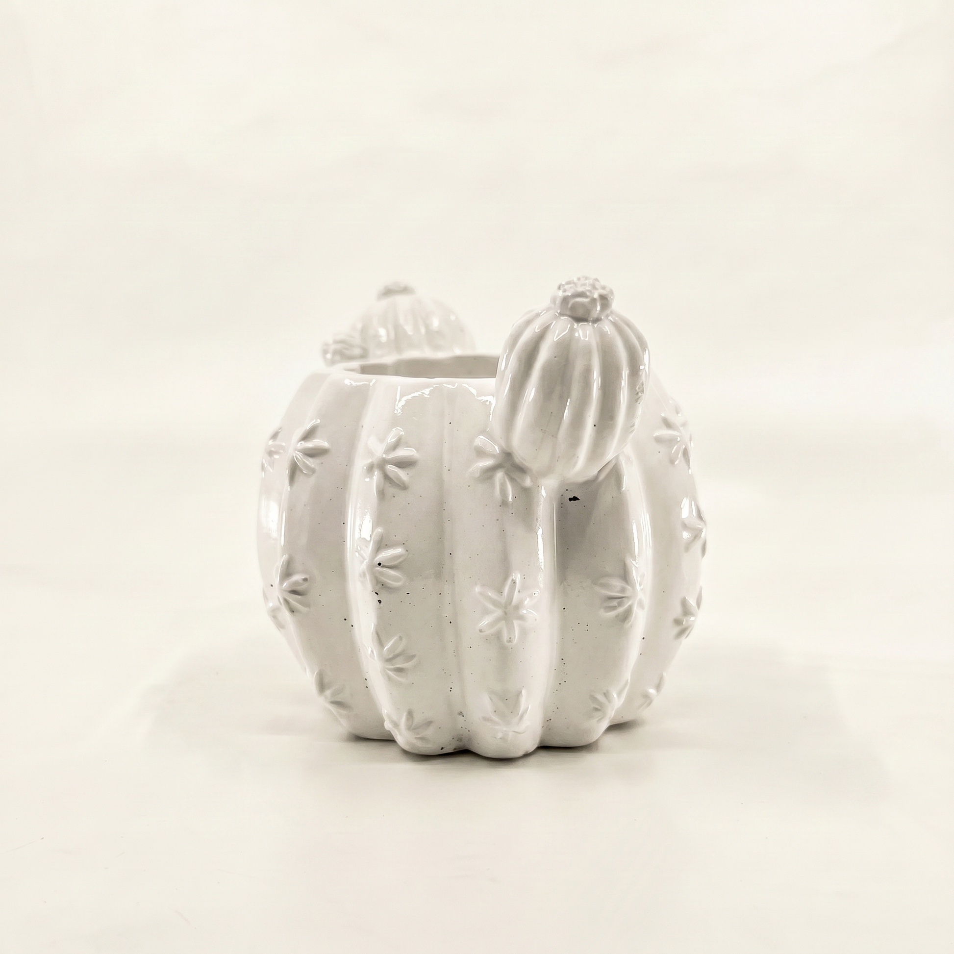 Barrel Cactus Planter, Gypsum White 3.5" Sunsum® Intentional Living