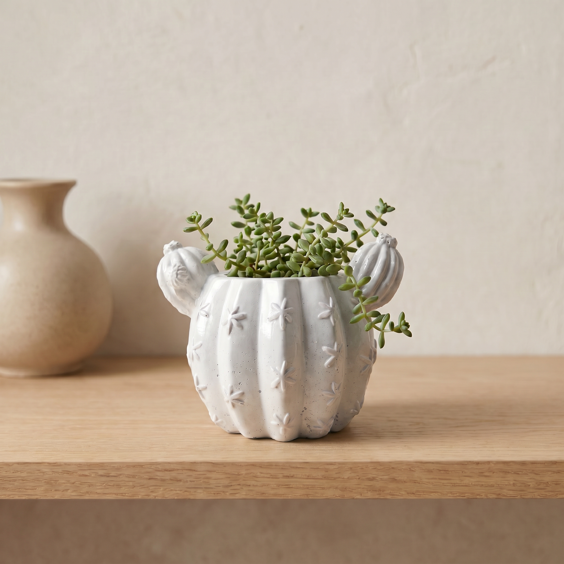 Barrel Cactus Planter, Gypsum White 3.5" Sunsum® Intentional Living