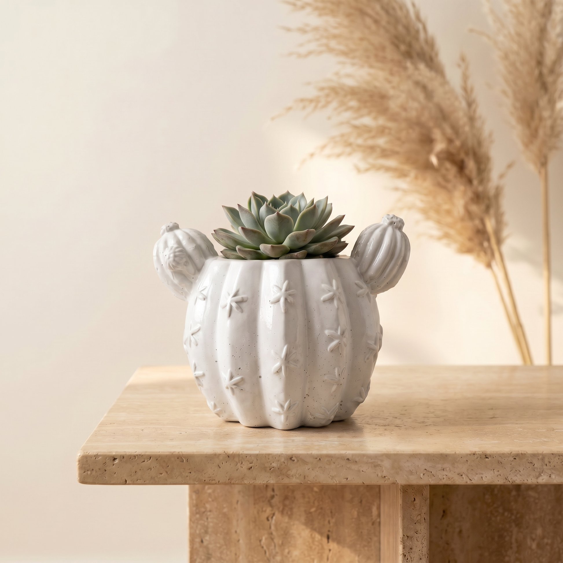 Barrel Cactus Planter, Gypsum White 3.5" Sunsum® Intentional Living