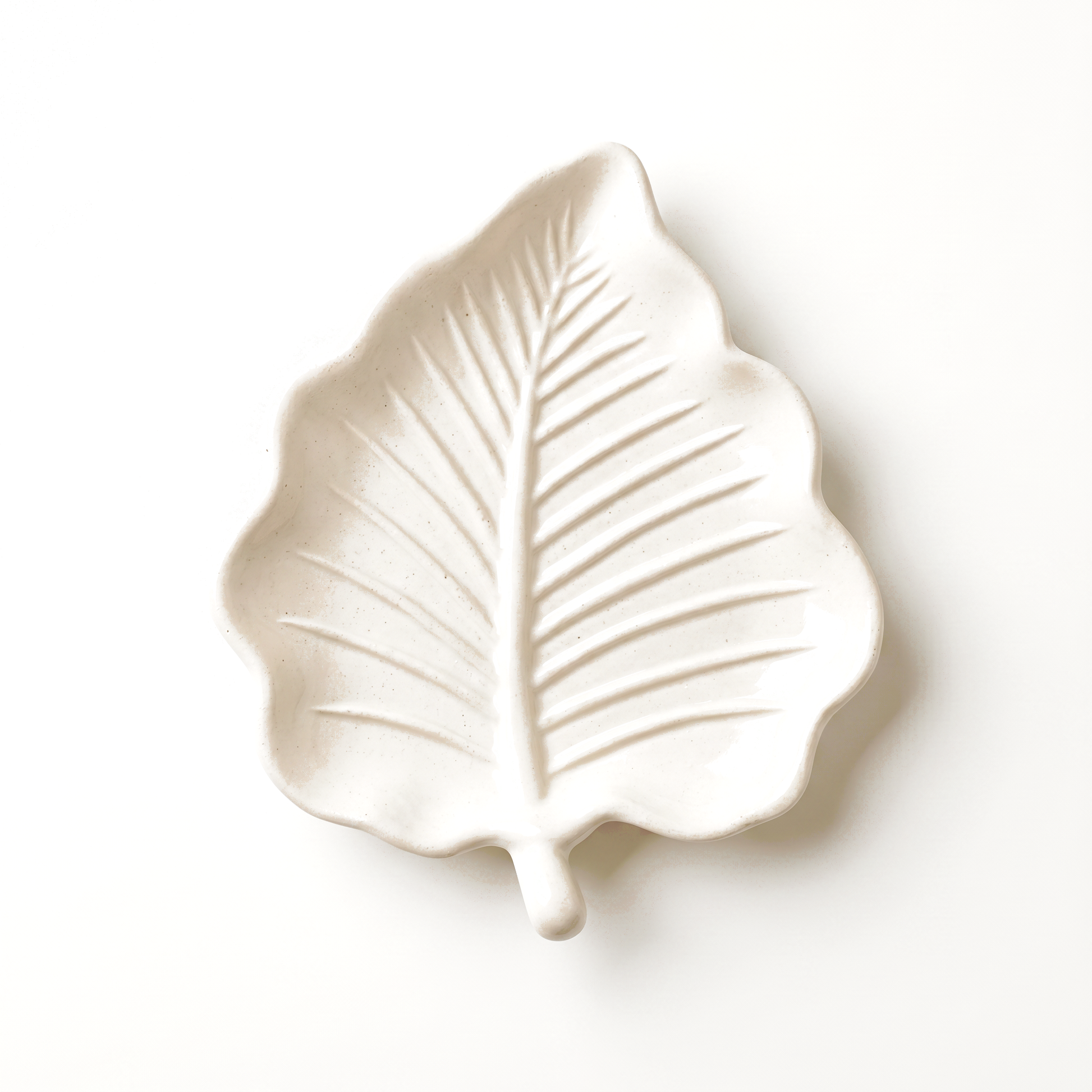 Elm Leaf Decorative Tray, Gypsum White 6" Sunsum® Intentional Living