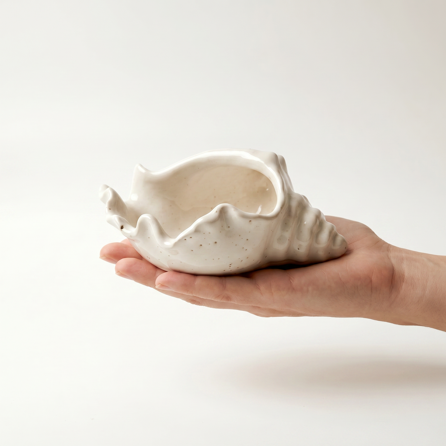 Conch Shell Bowl, Gypsum White 6" Sunsum® Intentional Living