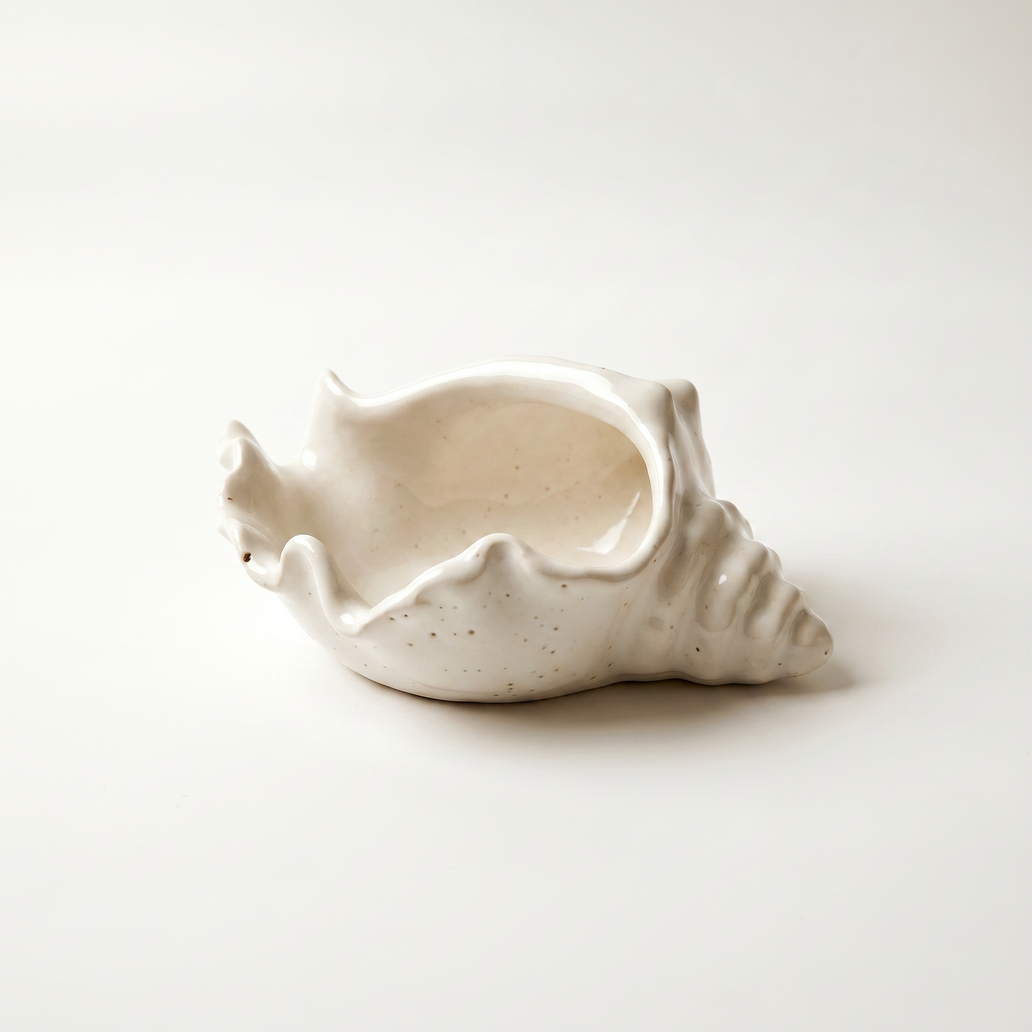 Conch Shell Bowl, Gypsum White 6" Sunsum® Intentional Living